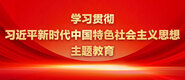 大鸡操逼视频学习贯彻习近平新时代中国特色社会主义思想主题教育_fororder_ad-371X160(2)